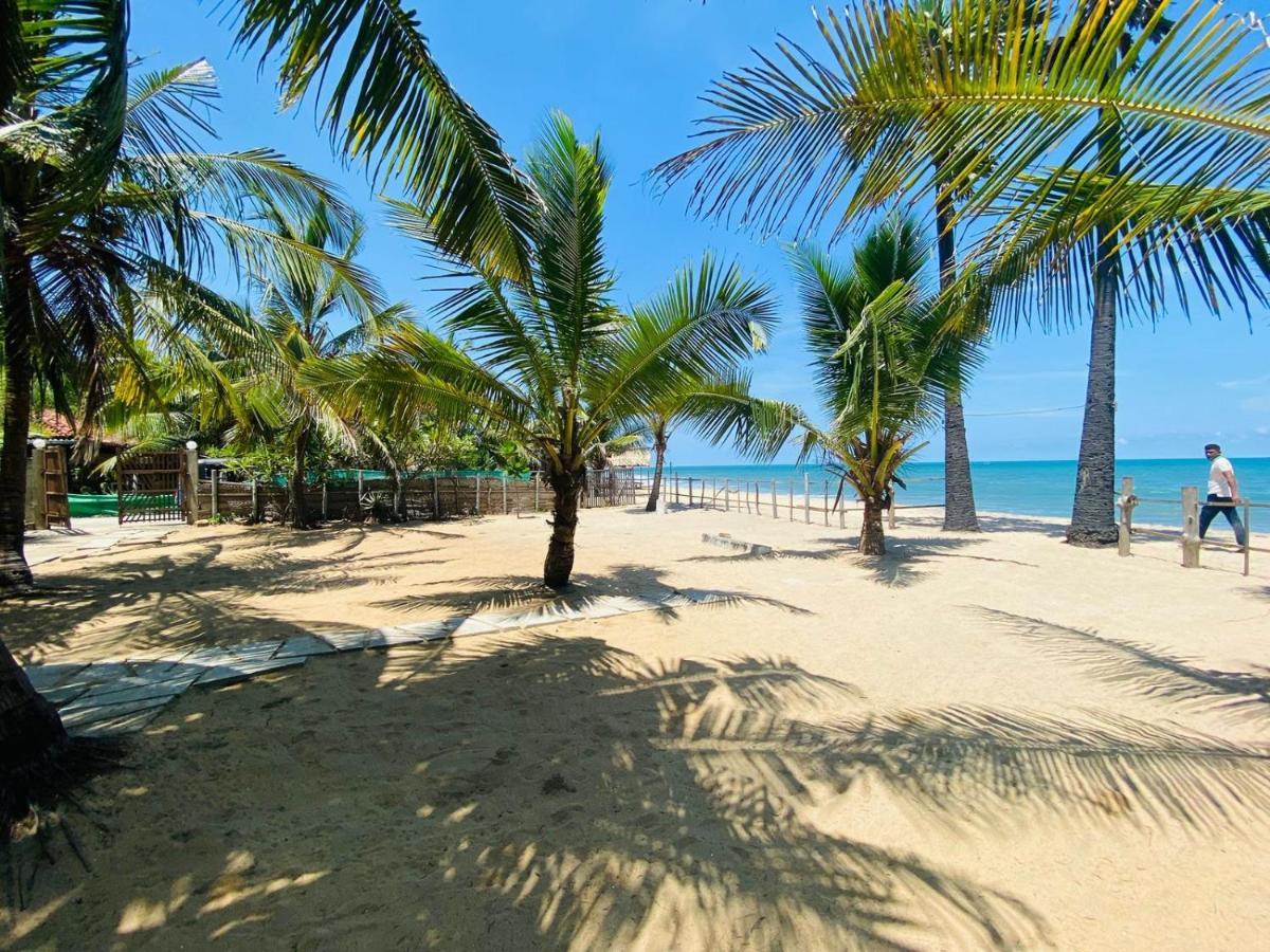 Air Lush Beach Cabanas Аругам Экстерьер фото